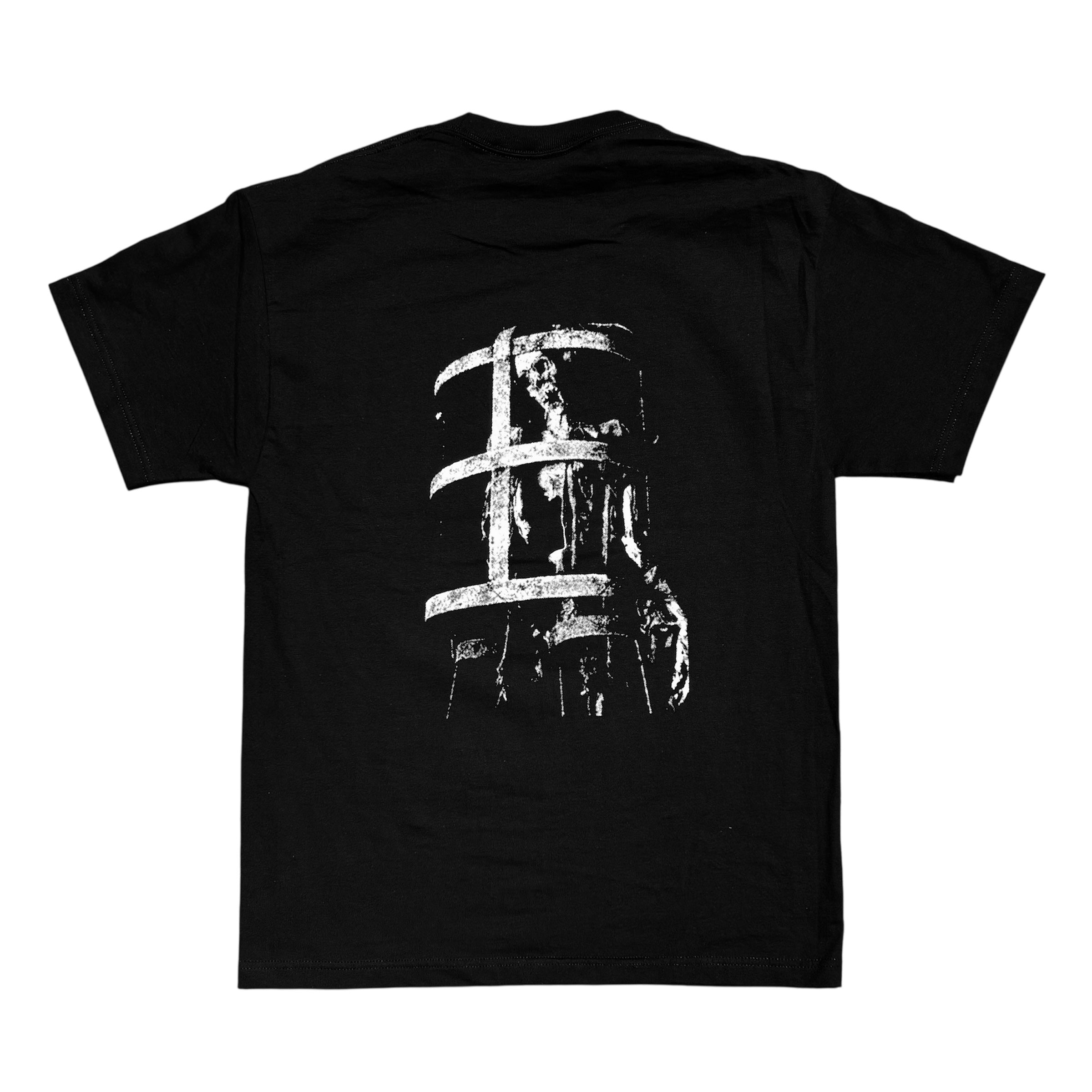 PAIN IN PROGRESS (TEE)
